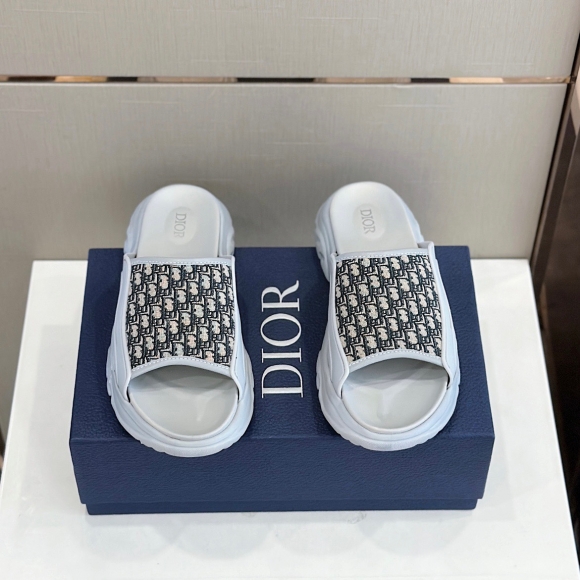 DiorSHOES