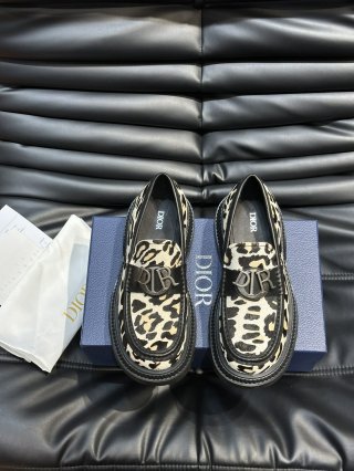 DiorSHOES