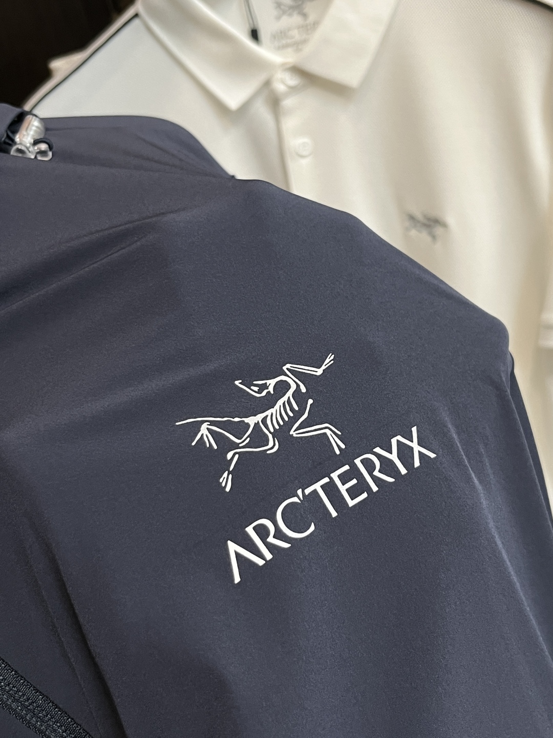 Hoodies & Sweatshirts