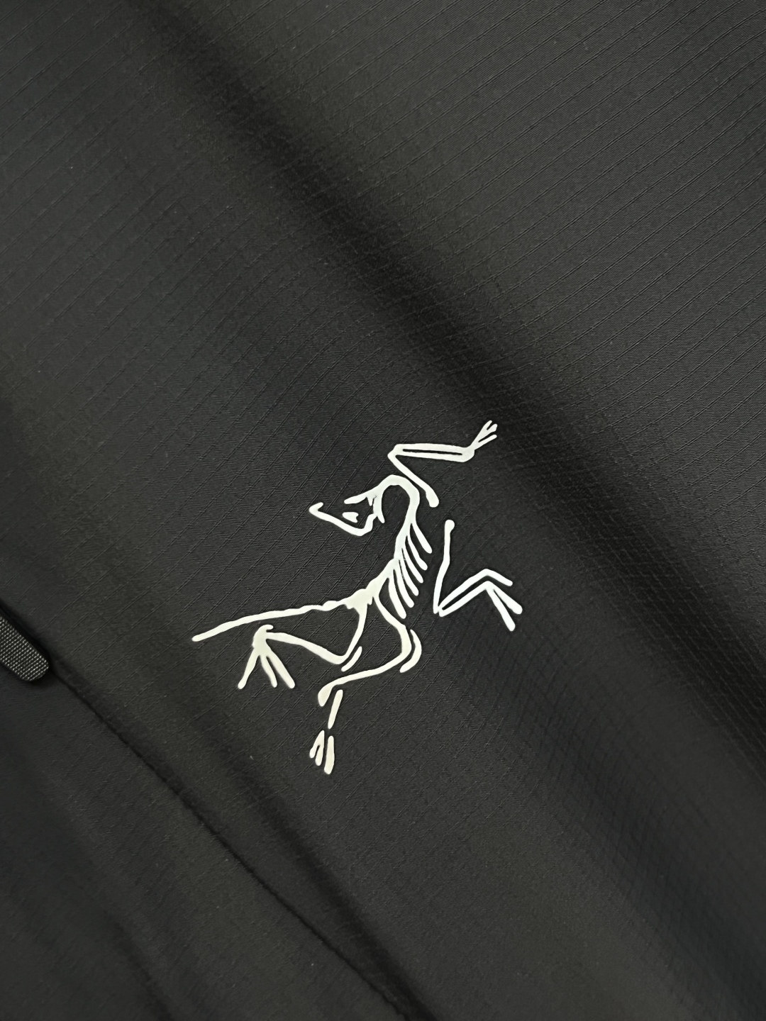 Hoodies & Sweatshirts